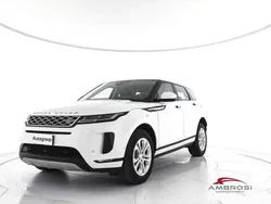 Bianco Usata 2021 Land Rover Range Rover evoque SUV | 30.800 € (Super prezzo)