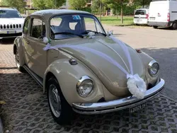 Beige Usata 1974 VW Maggiolino Coupé | 8900 €