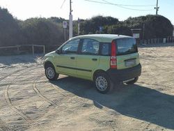 Verde Usata 2005 Fiat Panda 4x4 Due volumi | 3500 € (Ottimo prezzo)