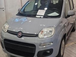 Grigio Usata 2025 Fiat Panda Due volumi | 8000 € (Super prezzo)