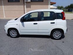 Bianco Usata 2021 Fiat Panda S Tre volumi | 9250 € (Ottimo prezzo)