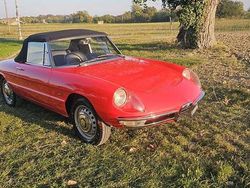 Other Usata 1966 Alfa Romeo Spider Cabrio | 64.500 €