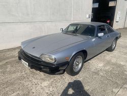 Other Usata 1977 Jaguar XJR Tre volumi | 19.500 €