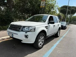 Bianco Usata 2013 Land Rover Freelander 2 SE SUV | 9499 € (Ottimo prezzo)