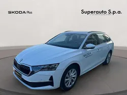 Bianco Usata 2024 Skoda Octavia Executive Station wagon | 31.200 € (Cara)