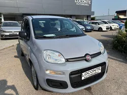 Grigio Usata 2021 Fiat Panda Launch Edition Due volumi | 6990 € (Super prezzo)