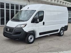 Bianco Usata 2024 Fiat Ducato Furgone | 26.350 € (Ottimo prezzo)