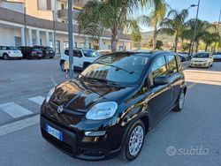 Nero Usata 2023 Fiat Panda Red Due volumi | 9299 € (Ottimo prezzo)
