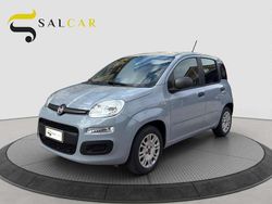 Grigio finanza Usata 2019 Fiat Panda Lounge Due volumi | 9490 € (Buon prezzo)