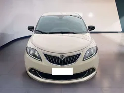 Bianco Usata 2021 Lancia Ypsilon Gold Due volumi | 11.900 € (Buon prezzo)