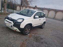Bianco Usata 2014 Fiat Panda Cross Cross Due volumi | 9999 € (Super prezzo)