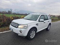 Bianco Usata 2013 Land Rover Freelander 2 SUV | 6990 € (Super prezzo)