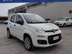 Bianco Usata 2020 Fiat Panda Pop Due volumi | 4790 € (Super prezzo)