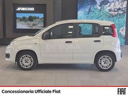 Bianco Usata 2020 Fiat Panda Easy Due volumi | 10.490 € (Buon prezzo)