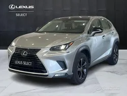Grigio Usata 2019 Lexus NX300h Sport Line SUV | 23.800 € (Buon prezzo)