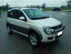 Bianco Usata 2010 Fiat Panda Cross Cross Due volumi | 9999 € (Molto cara)