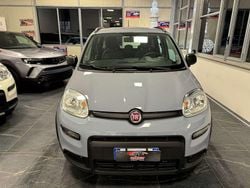 Grigio Usata 2021 Fiat Panda Due volumi | 10.499 € (Buon prezzo)