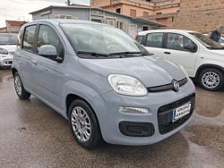 Grigio Usata 2021 Fiat Panda Due volumi | 8990 € (Buon prezzo)