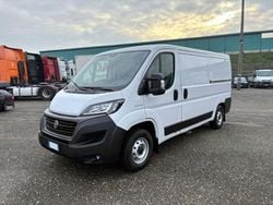 Bianco Usata 2020 Fiat Ducato Furgone | 14.500 € (Ottimo prezzo)
