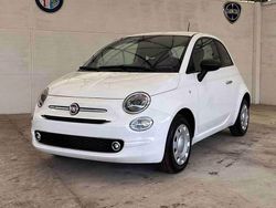 Bianco Usata 2023 Fiat 500 | 9450 € (Super prezzo)