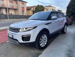 Bianco Usata 2018 Land Rover Range Rover evoque SUV | 15.000 € (Super prezzo)
