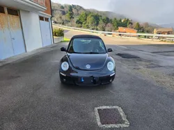 VW Beetle