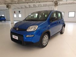 Blu Usata 2024 Fiat Panda Due volumi | 13.000 € (Buon prezzo)