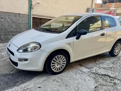 Usata 2012 Fiat Punto Pop Due volumi | 2199 € (Ottimo prezzo)