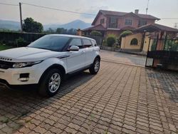 Bianco Usata 2014 Land Rover Range Rover evoque Pure SUV | 11.500 € (Cara)