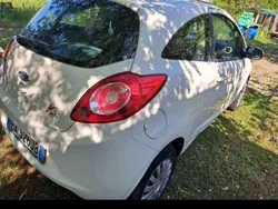 Usata 2010 Ford Ka Collection Due volumi | 2200 € (Buon prezzo)