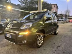 Verde Usata 2013 Fiat Panda 4x4 S Due volumi | 10.900 € (Buon prezzo)