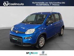 Blu Usata 2024 Fiat Panda City Life Due volumi | 12.999 € (Buon prezzo)