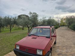Usata 2000 Fiat Panda Due volumi | 2900 € (Cara)