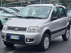 Argento Usata 2006 Fiat Panda 4x4 Climbing Due volumi | 6900 € (Cara)