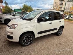 Bianco Usata 2022 Fiat Panda 4x4 Pop Due volumi | 10.000 € (Super prezzo)
