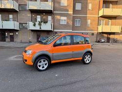 Arancione Usata 2007 Fiat Panda 4x4 Cross Due volumi | 5500 € (Buon prezzo)