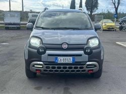 Grigio Usata 2020 Fiat Panda 4x4 S Due volumi | 9900 € (Ottimo prezzo)