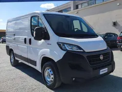 Bianco Usata 2021 Fiat Ducato Furgone | 12.990 € (Super prezzo)