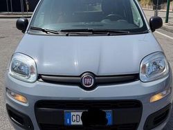 Grigio Usata 2020 Fiat Panda Due volumi | 8500 € (Ottimo prezzo)