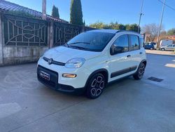 Bianco Usata 2021 Fiat Panda City Life Due volumi | 9499 € (Buon prezzo)