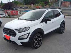 Bianco Usata 2021 Ford Ecosport SUV | 15.300 € (Cara)