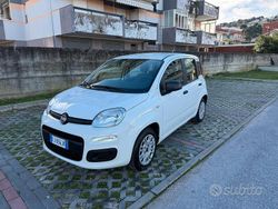 Bianco Usata 2017 Fiat Panda Due volumi | 7500 € (Buon prezzo)