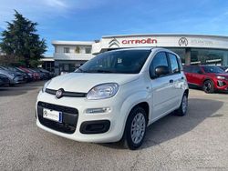 Bianco Nuova 2025 Fiat Panda S Tre volumi | 13.500 €
