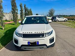 Bianco Usata 2017 Land Rover Range Rover evoque SUV | 19.000 € (Buon prezzo)