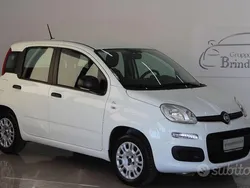 Bianco Usata 2020 Fiat Panda Easy Due volumi | 9600 € (Buon prezzo)