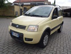 Giallo ocra Usata 2006 Fiat Panda 4x4 Due volumi | 3900 € (Ottimo prezzo)