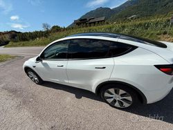 Bianco Usata 2024 Tesla Model Y RWD SUV | 36.000 € (Ottimo prezzo)