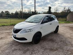 Bianco Usata 2020 Lancia Ypsilon S Due volumi | 8999 € (Buon prezzo)