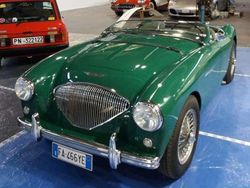 Verde Usata 1954 Austin-Healey 100 Cabrio | 75.000 €