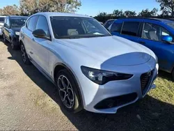 Grigio moonlight Usata 2024 Alfa Romeo Stelvio Veloce SUV | 42.500 € (Buon prezzo)